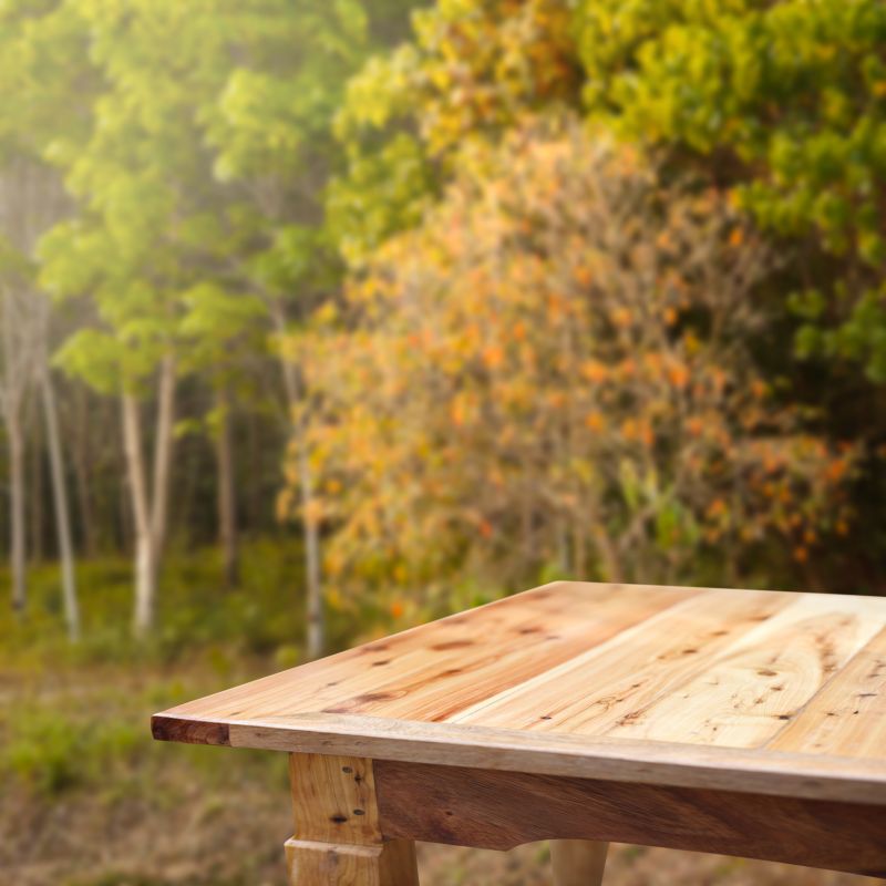 Seasonal Considerations